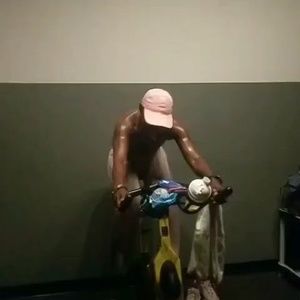 Meet your Posher, Josephine